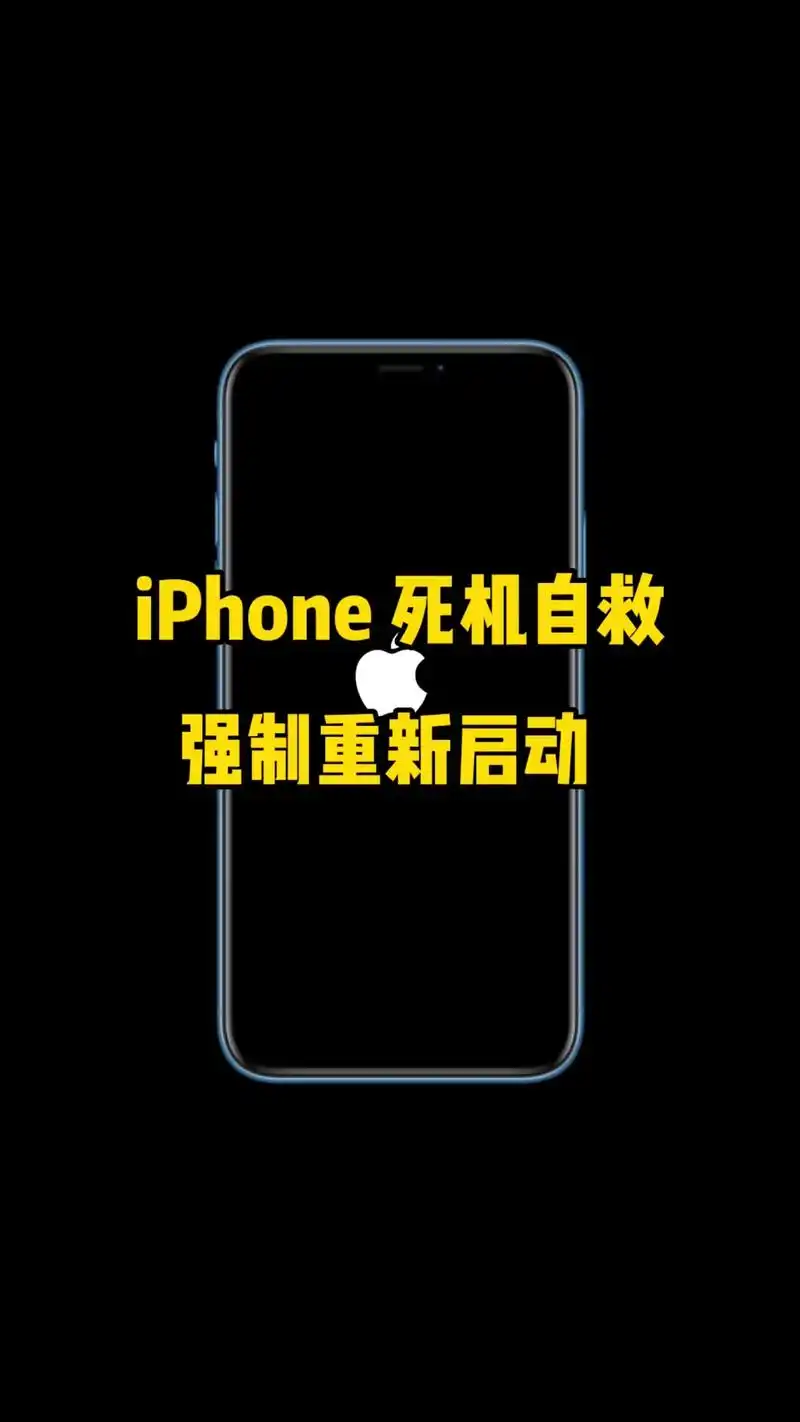 iPhone怎样解决死机情况