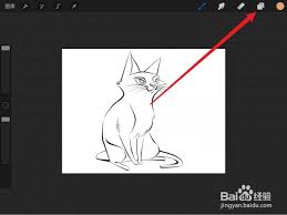 procreate提取线稿后怎么上色