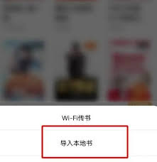 番茄小说如何导入本地书籍