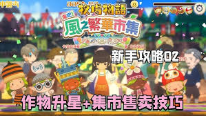 牧场物语怎么让风之繁华集市物品快速升星