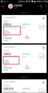别人在12306给我买票怎么查询