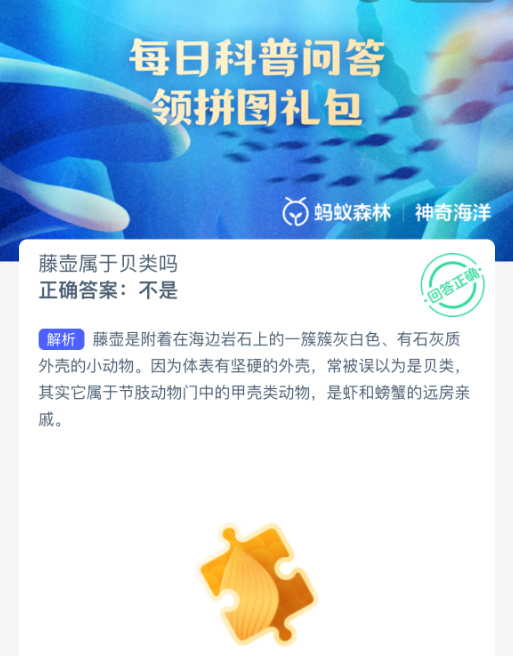 神奇海洋10月13日海洋问题答案是什么2025