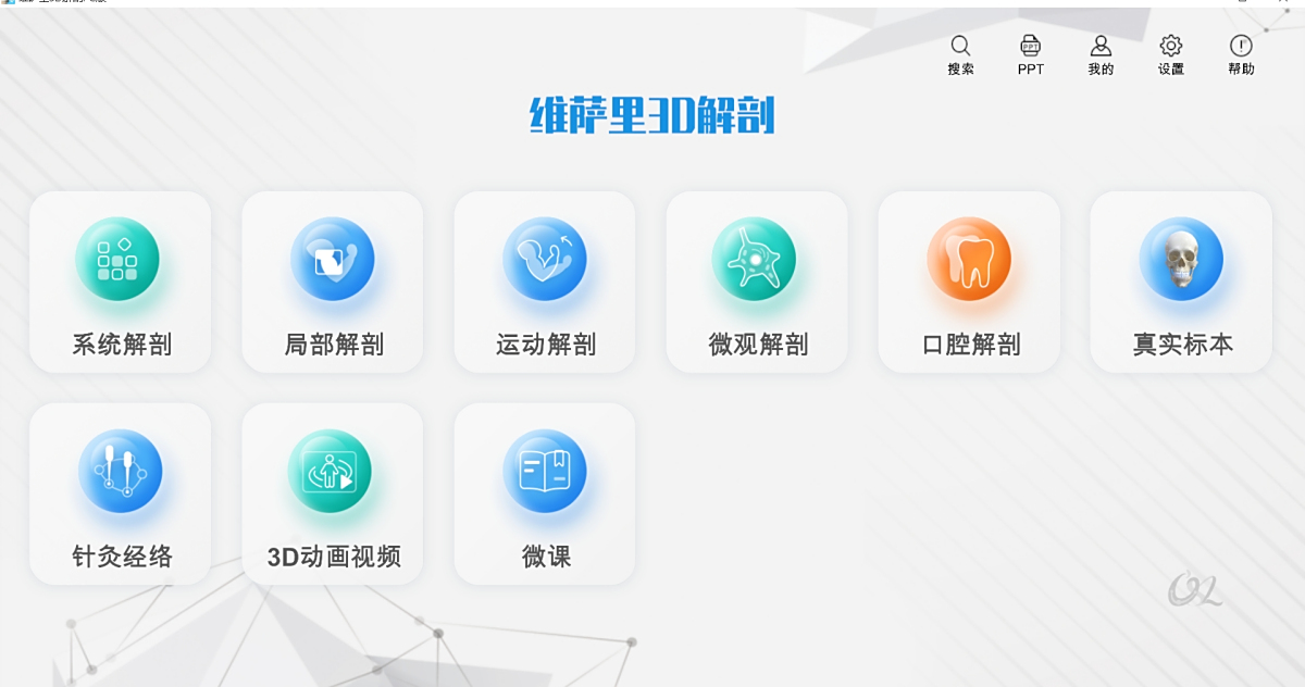 维萨里3D解剖1