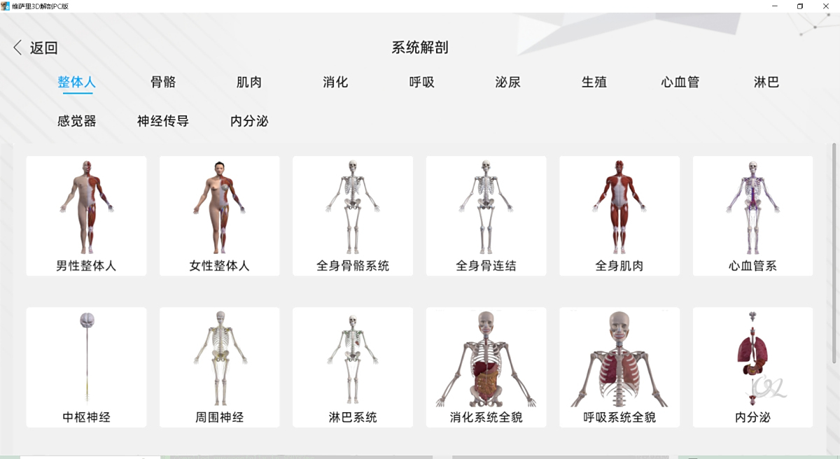 维萨里3D解剖2