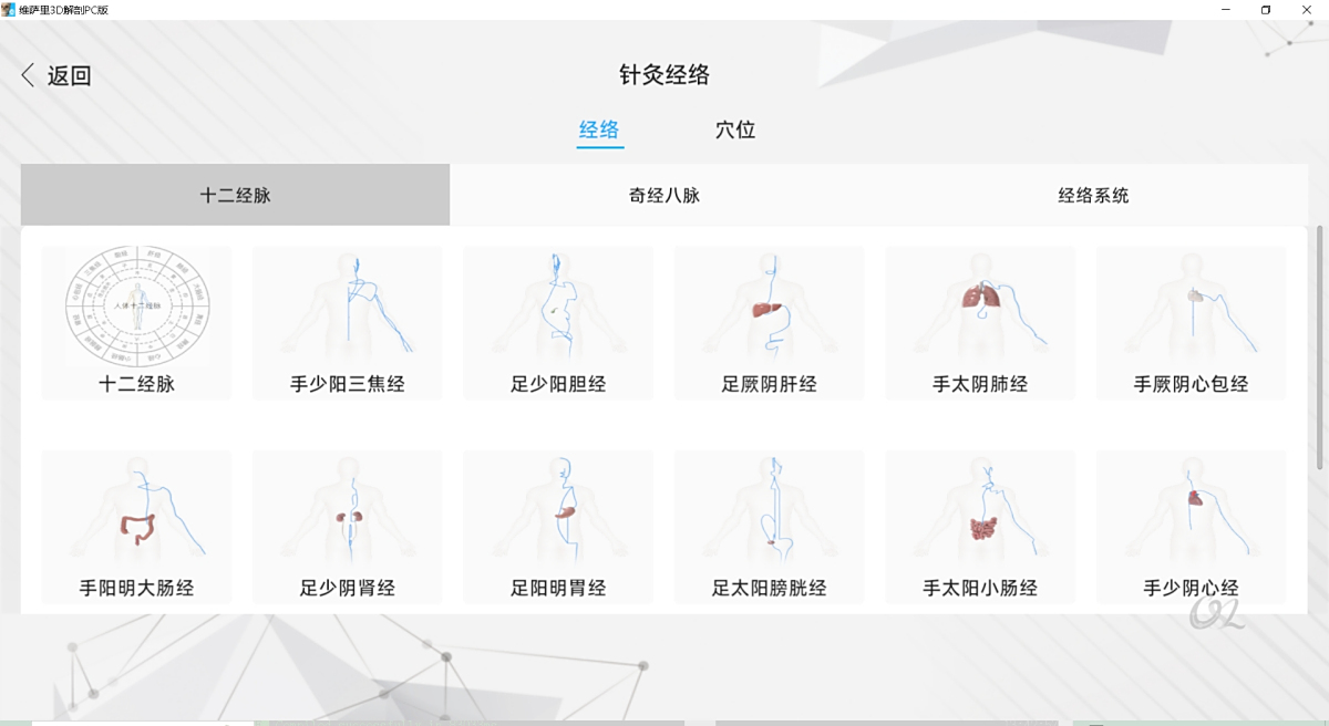 维萨里3D解剖3