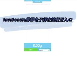 touchscale网页版入口在哪