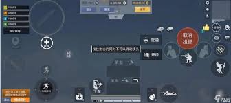 和平精英如何设置左右探头