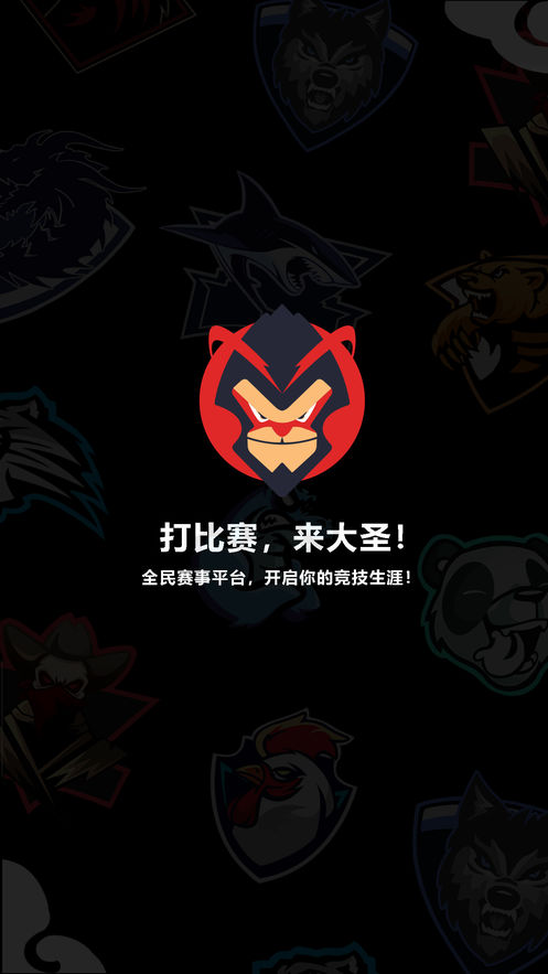 大圣电竞app3