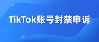 TikTok账号被封禁怎么申诉
