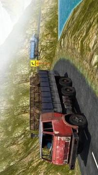 Heavy Truck Driver Cargo