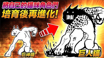 猫咪大战争双人2