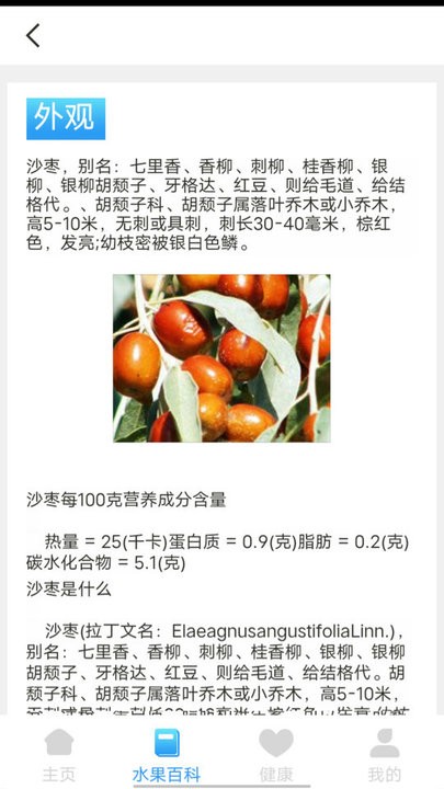 口袋水果知识科普3