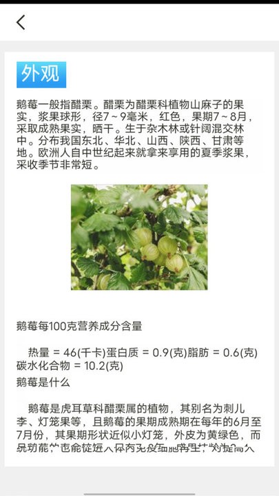 口袋水果知识科普4