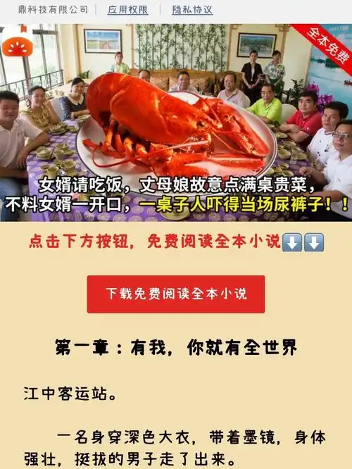 如何去除番茄小说广告