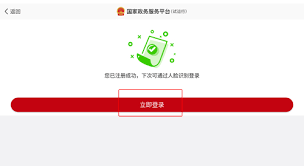国家政务服务平台怎么操作