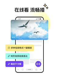 迅雷浏览器官网入口在哪