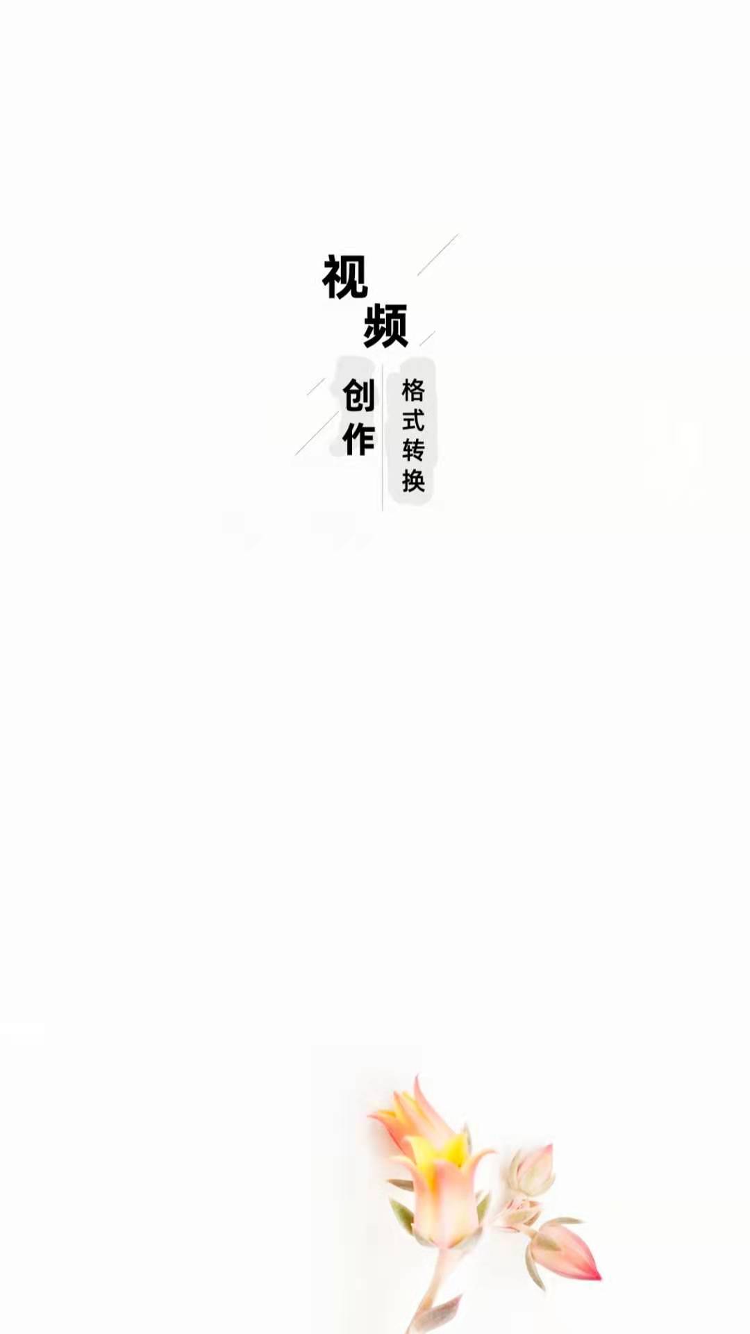 智点音视频格式转换3