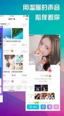 寻缘聊天交友约会无会员3