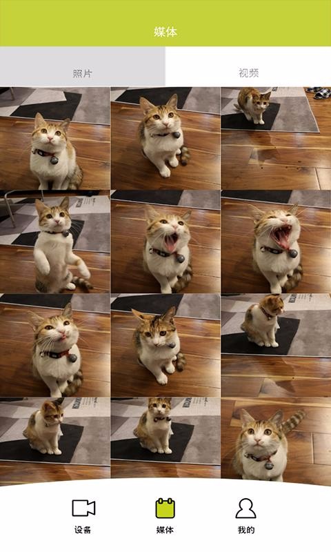蹭蹭3