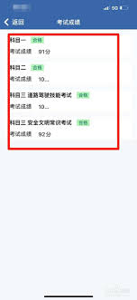 如何用交警123123查成绩