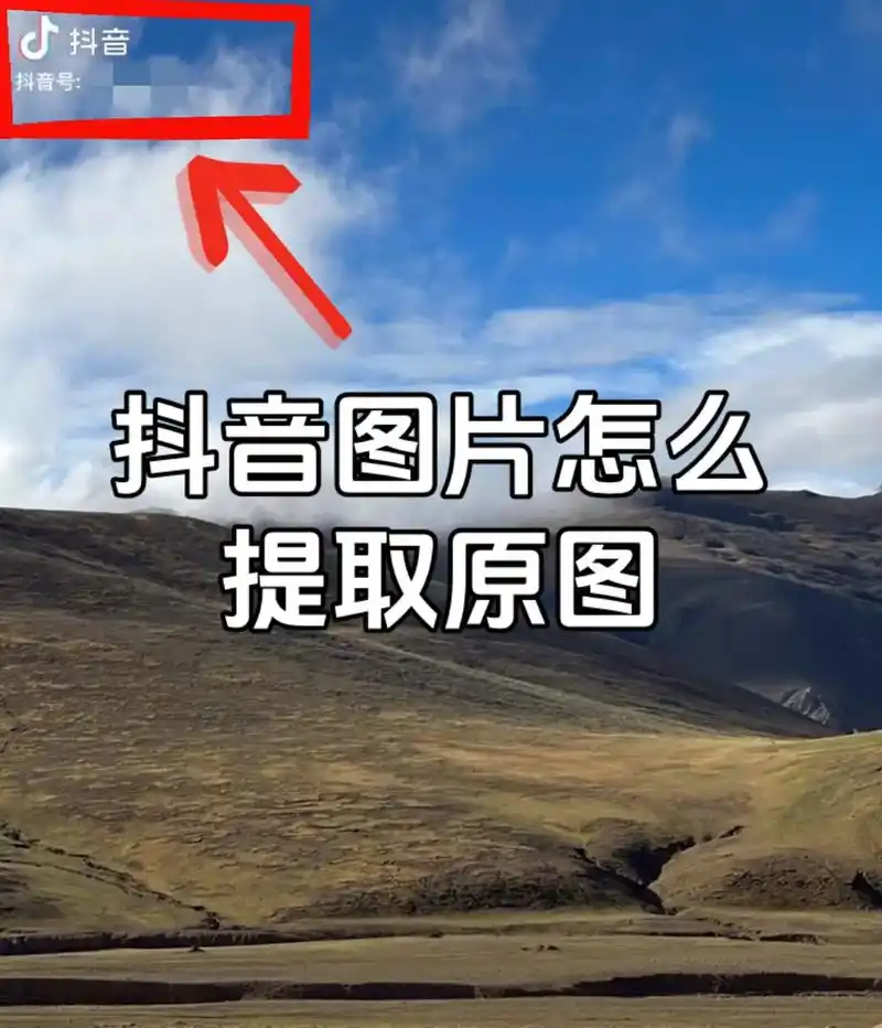 抖音评论图片怎么保存