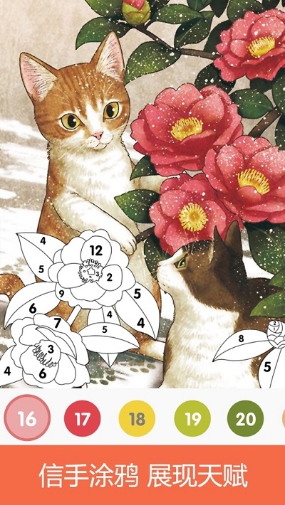 Coloring Book涂色书