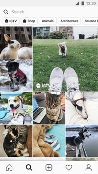 instagram最新官方版安卓4
