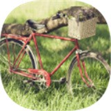 //imgres.tujixiazai.com/tujixiazai/104/516852-2025101813500268f32a8ad598b.jpg