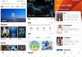 追剧达人如何关闭广告