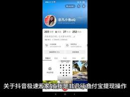 抖音极速版为何无法提现至支付宝