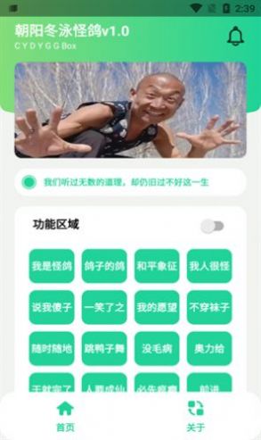 冬泳怪鸽盒2