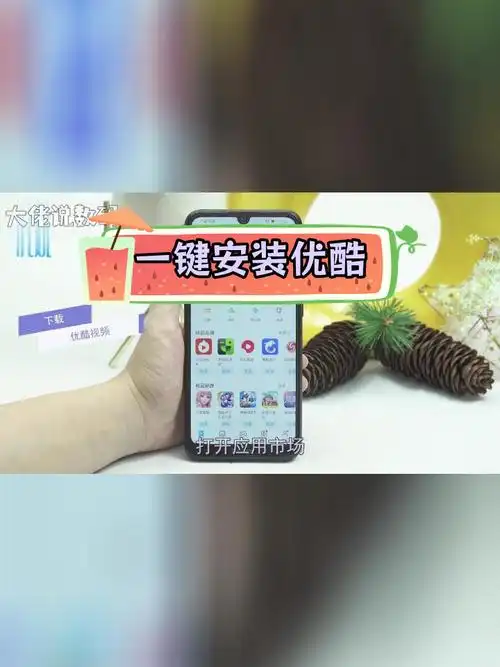 坚果如何安装优酷