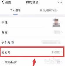 怎样设置个人钉钉号