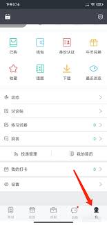 牛客如何设置夜间模式