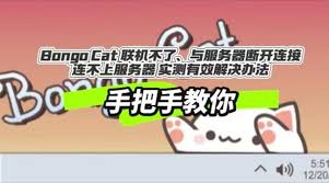 Bongocat如何联机