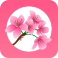 桃缘交友苹果版