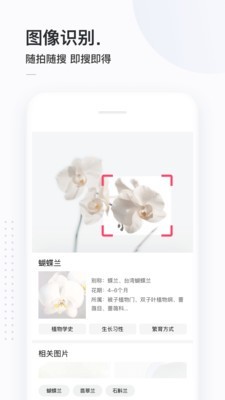 百万英雄答题神器3