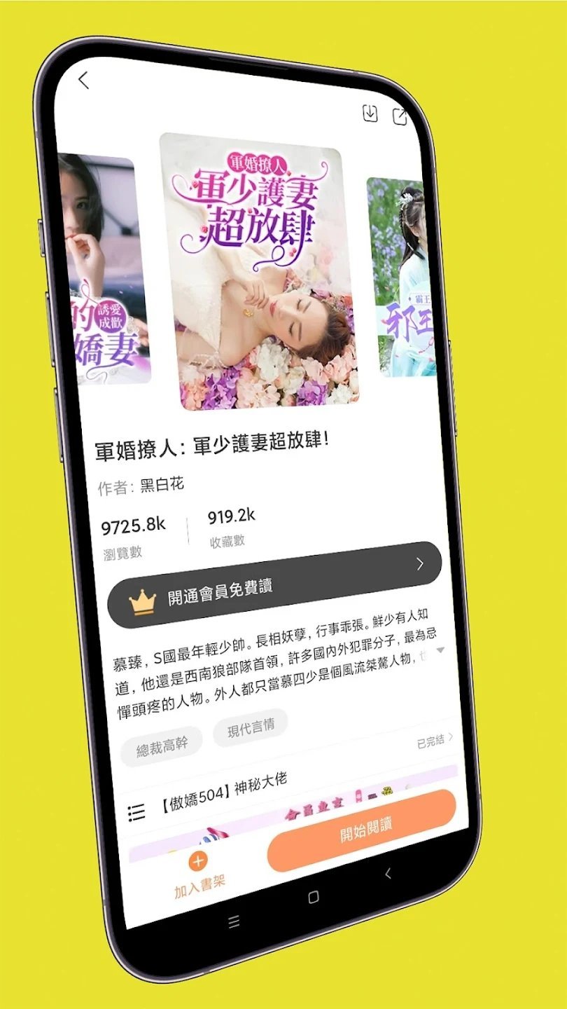 喜鹊小说1