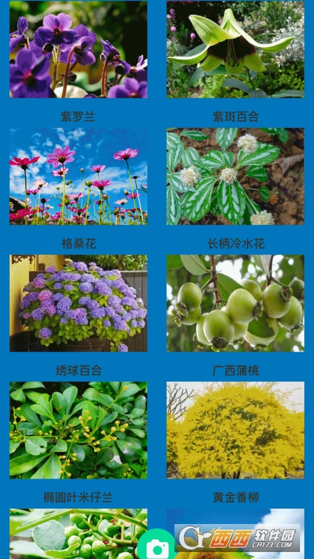 神农花草园艺3