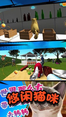 极速流浪猫2