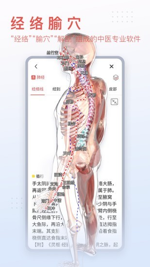 3Dbody艺用2