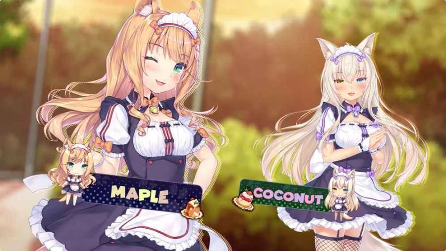猫娘团来店2