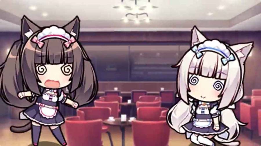 猫娘团来店4