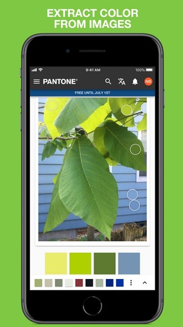 pantone3