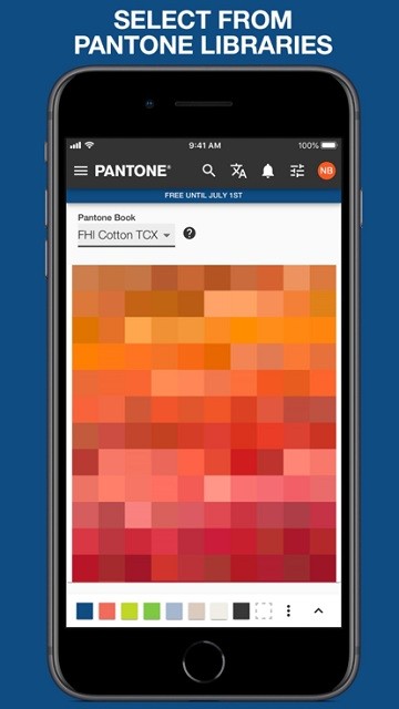 pantone4