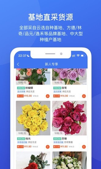 云选4