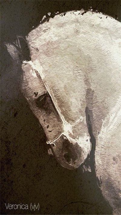 一加8pro秋意红外线滤镜2