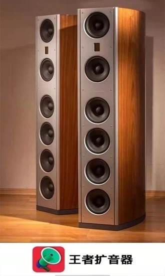 王者扩音器1