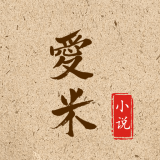 爱米小说官方版