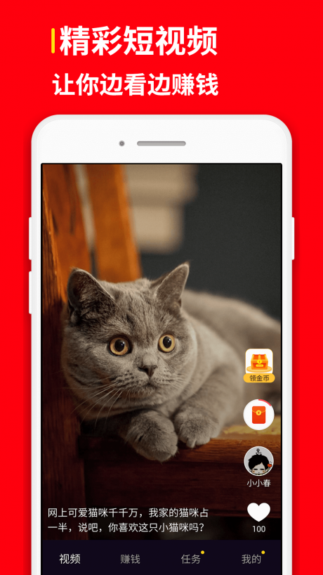 网赚红包短视频定制版4